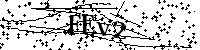 Si prega di digitare le lettere e i numeri del Captcha di seguito
