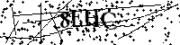 Si prega di digitare le lettere e i numeri del Captcha di seguito