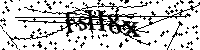 Si prega di digitare le lettere e i numeri del Captcha di seguito