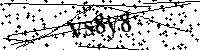Si prega di digitare le lettere e i numeri del Captcha di seguito