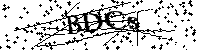 Si prega di digitare le lettere e i numeri del Captcha di seguito