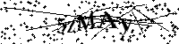Si prega di digitare le lettere e i numeri del Captcha di seguito