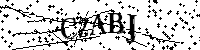 Si prega di digitare le lettere e i numeri del Captcha di seguito
