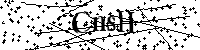 Si prega di digitare le lettere e i numeri del Captcha di seguito