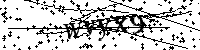 Si prega di digitare le lettere e i numeri del Captcha di seguito