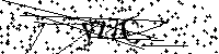 Si prega di digitare le lettere e i numeri del Captcha di seguito