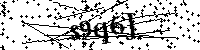Si prega di digitare le lettere e i numeri del Captcha di seguito