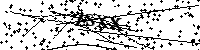 Si prega di digitare le lettere e i numeri del Captcha di seguito