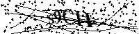 Si prega di digitare le lettere e i numeri del Captcha di seguito