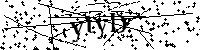 Si prega di digitare le lettere e i numeri del Captcha di seguito