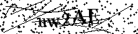 Si prega di digitare le lettere e i numeri del Captcha di seguito