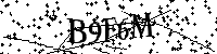 Si prega di digitare le lettere e i numeri del Captcha di seguito