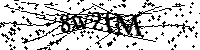 Si prega di digitare le lettere e i numeri del Captcha di seguito