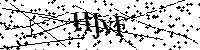Si prega di digitare le lettere e i numeri del Captcha di seguito