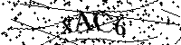 Si prega di digitare le lettere e i numeri del Captcha di seguito