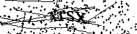 Si prega di digitare le lettere e i numeri del Captcha di seguito