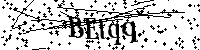 Si prega di digitare le lettere e i numeri del Captcha di seguito