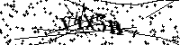 Si prega di digitare le lettere e i numeri del Captcha di seguito