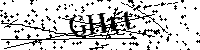 Si prega di digitare le lettere e i numeri del Captcha di seguito