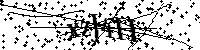 Si prega di digitare le lettere e i numeri del Captcha di seguito