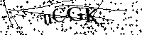 Si prega di digitare le lettere e i numeri del Captcha di seguito