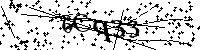 Si prega di digitare le lettere e i numeri del Captcha di seguito