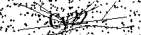 Si prega di digitare le lettere e i numeri del Captcha di seguito