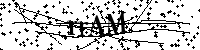 Si prega di digitare le lettere e i numeri del Captcha di seguito