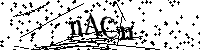 Si prega di digitare le lettere e i numeri del Captcha di seguito