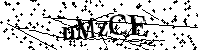 Si prega di digitare le lettere e i numeri del Captcha di seguito
