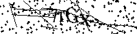 Si prega di digitare le lettere e i numeri del Captcha di seguito