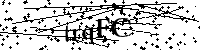 Si prega di digitare le lettere e i numeri del Captcha di seguito