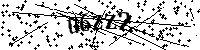 Si prega di digitare le lettere e i numeri del Captcha di seguito