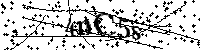 Si prega di digitare le lettere e i numeri del Captcha di seguito