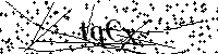 Si prega di digitare le lettere e i numeri del Captcha di seguito