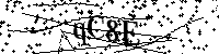 Si prega di digitare le lettere e i numeri del Captcha di seguito