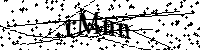 Si prega di digitare le lettere e i numeri del Captcha di seguito