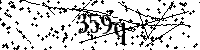 Si prega di digitare le lettere e i numeri del Captcha di seguito