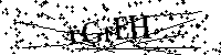 Si prega di digitare le lettere e i numeri del Captcha di seguito