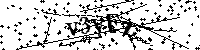 Si prega di digitare le lettere e i numeri del Captcha di seguito