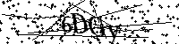 Si prega di digitare le lettere e i numeri del Captcha di seguito