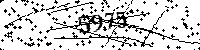 Si prega di digitare le lettere e i numeri del Captcha di seguito