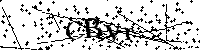 Si prega di digitare le lettere e i numeri del Captcha di seguito