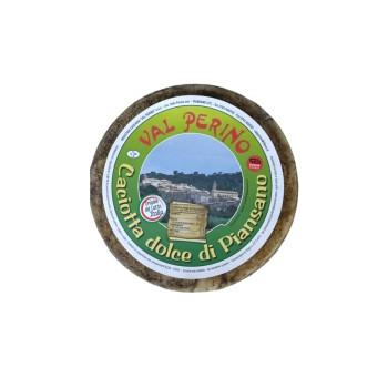 Caciotta Dolce di Piansano 2,0 Kg Val Perino