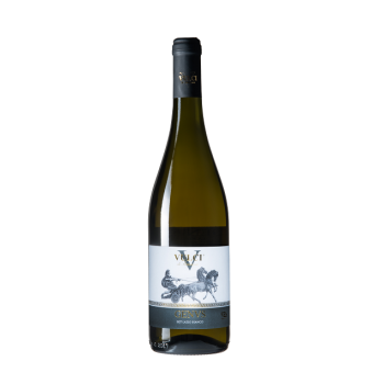 Genvs IGT Lazio Bianco Vulci Di Simoncini