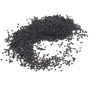 Lenticchia Nera degli Etruschi 1 Kg Perle della Tuscia