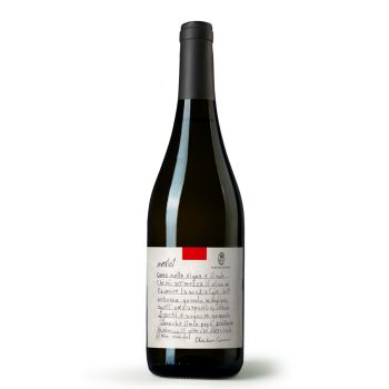 Merlot Rosso IGT Lazio Tenuta Casciani