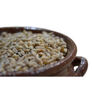 Farro Perlato Dicocco 1 Kg Perle della Tuscia
