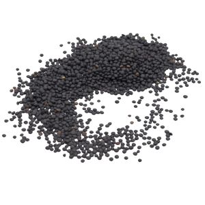Lenticchia Nera degli Etruschi 1 Kg Perle della Tuscia