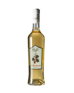 IGT Lazio Moscato Dolce